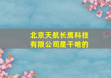 北京天航长鹰科技有限公司是干啥的