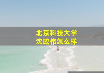 北京科技大学沈政伟怎么样