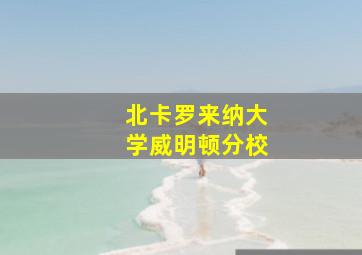 北卡罗来纳大学威明顿分校