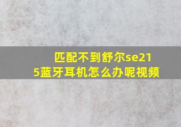 匹配不到舒尔se215蓝牙耳机怎么办呢视频