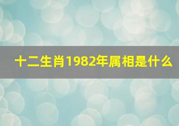 十二生肖1982年属相是什么