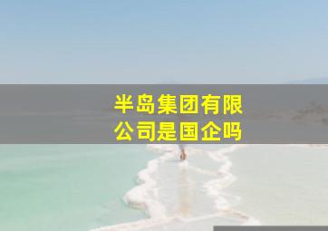 半岛集团有限公司是国企吗