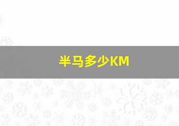 半马多少KM