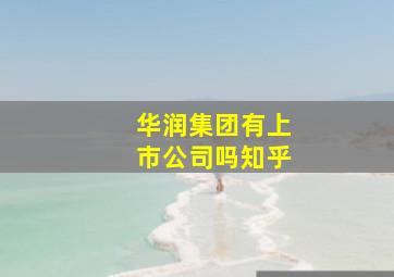 华润集团有上市公司吗知乎