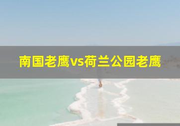 南国老鹰vs荷兰公园老鹰