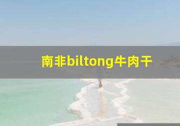 南非biltong牛肉干