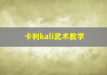 卡利kali武术教学