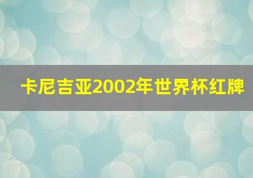 卡尼吉亚2002年世界杯红牌