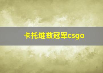 卡托维兹冠军csgo