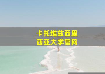 卡托维兹西里西亚大学官网