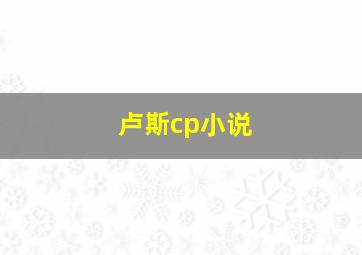 卢斯cp小说