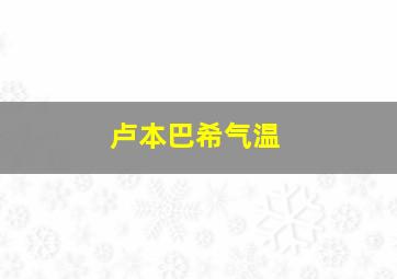 卢本巴希气温