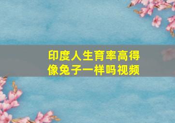 印度人生育率高得像兔子一样吗视频