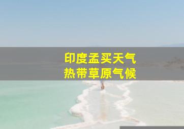 印度孟买天气热带草原气候