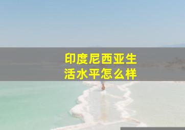 印度尼西亚生活水平怎么样