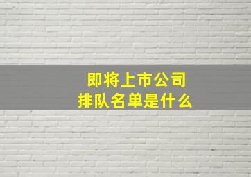 即将上市公司排队名单是什么