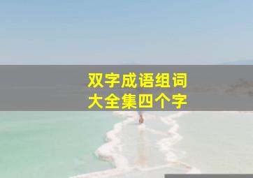 双字成语组词大全集四个字