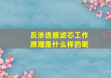 反渗透膜滤芯工作原理是什么样的呢