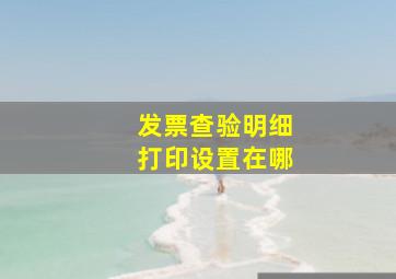 发票查验明细打印设置在哪