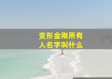 变形金刚所有人名字叫什么