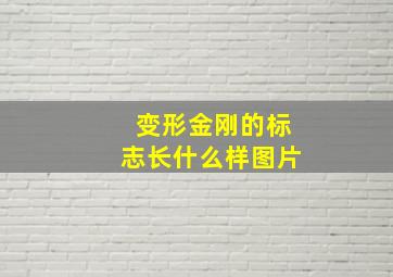 变形金刚的标志长什么样图片