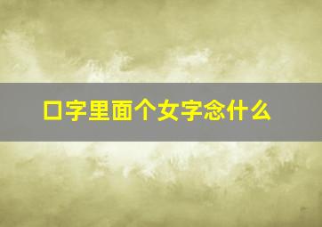 口字里面个女字念什么