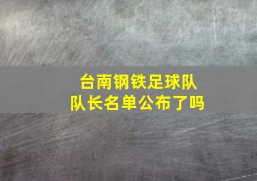 台南钢铁足球队队长名单公布了吗