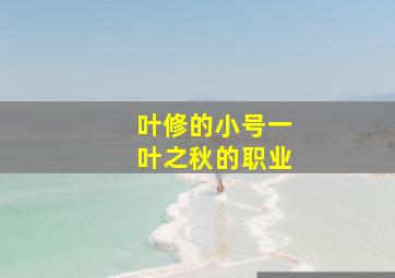 叶修的小号一叶之秋的职业