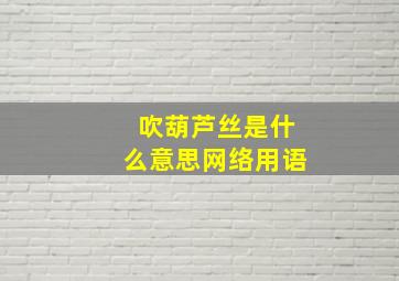 吹葫芦丝是什么意思网络用语