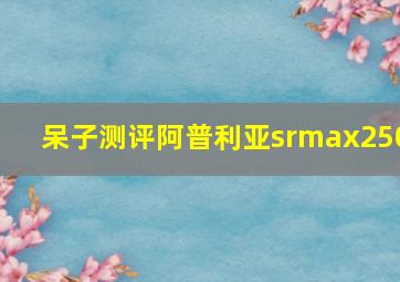 呆子测评阿普利亚srmax250