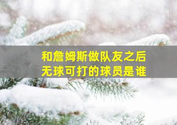 和詹姆斯做队友之后无球可打的球员是谁