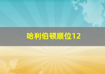 哈利伯顿顺位12