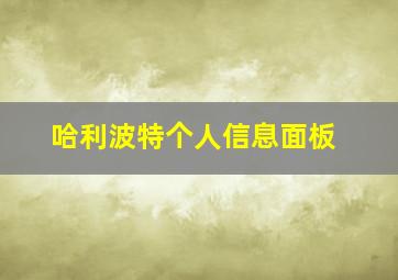 哈利波特个人信息面板