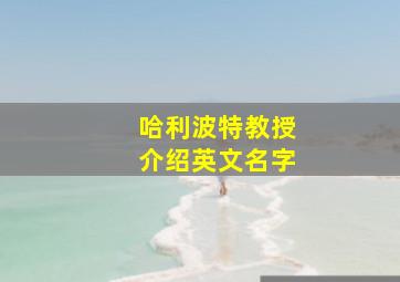 哈利波特教授介绍英文名字