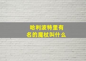 哈利波特里有名的魔杖叫什么