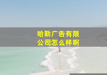 哈勒广告有限公司怎么样啊