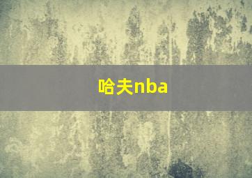 哈夫nba