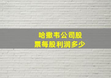 哈撒韦公司股票每股利润多少