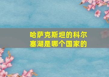 哈萨克斯坦的科尔塞湖是哪个国家的