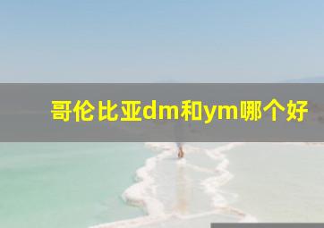 哥伦比亚dm和ym哪个好