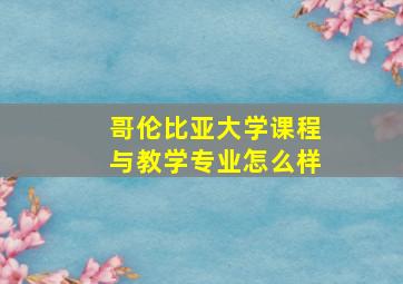 哥伦比亚大学课程与教学专业怎么样