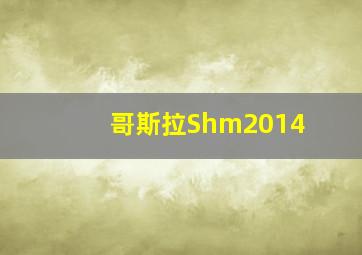 哥斯拉Shm2014