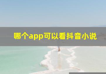 哪个app可以看抖音小说