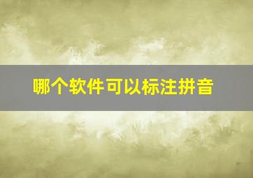 哪个软件可以标注拼音