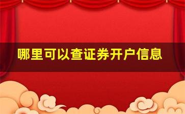 哪里可以查证券开户信息