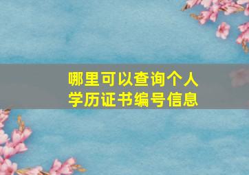 哪里可以查询个人学历证书编号信息