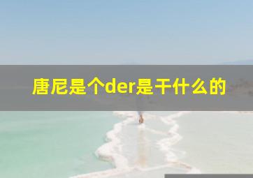 唐尼是个der是干什么的