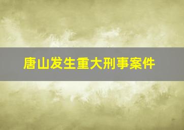 唐山发生重大刑事案件