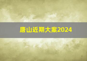 唐山近期大案2024