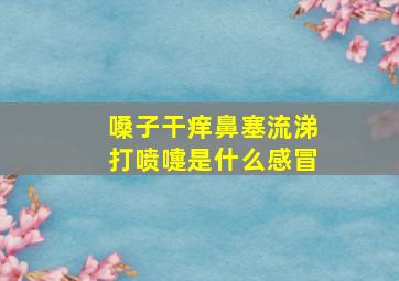 嗓子干痒鼻塞流涕打喷嚏是什么感冒